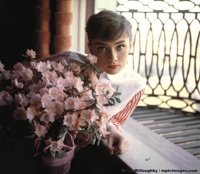 Audrey Hepburn 1953 ©1978 Bob Willoughby