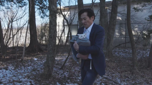 『吾輩は猫である！』場面写真