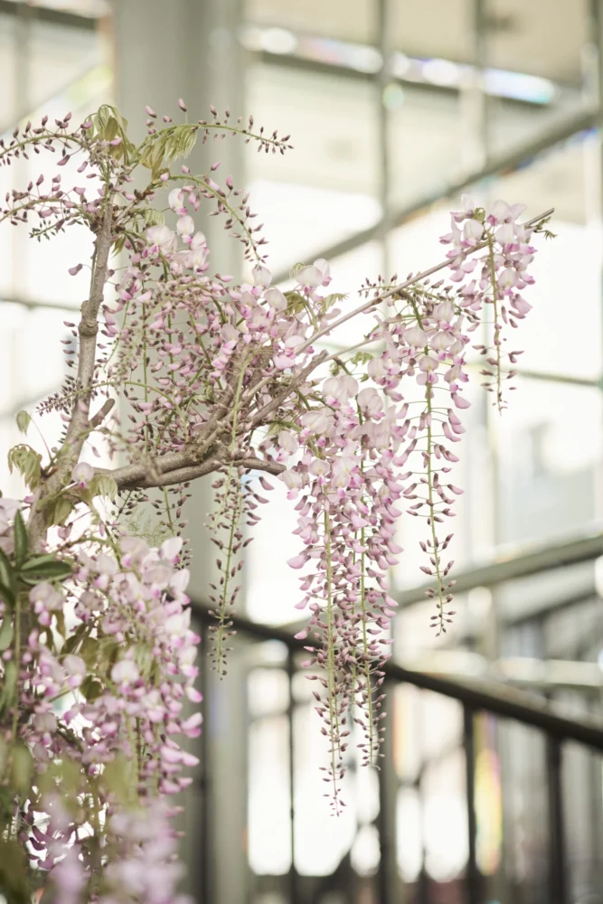 GUCCI NAMIKI OPENING PREVIEW