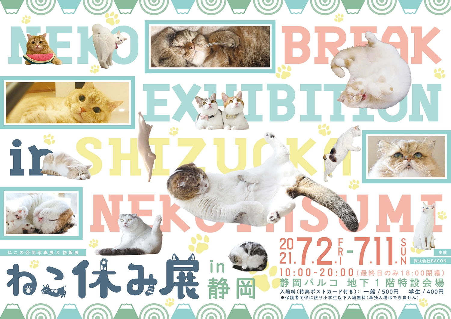 猫の合同写真展＆物販展「ねこ休み展 in 静岡」