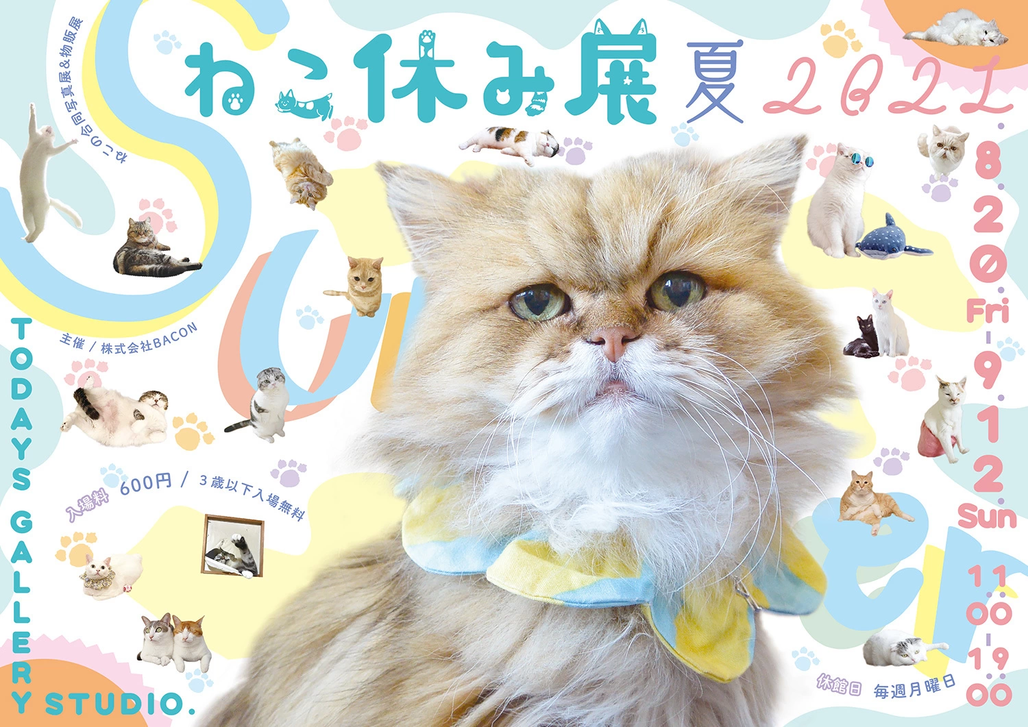 猫の合同写真展＆物販展「ねこ休み展 夏 2021」