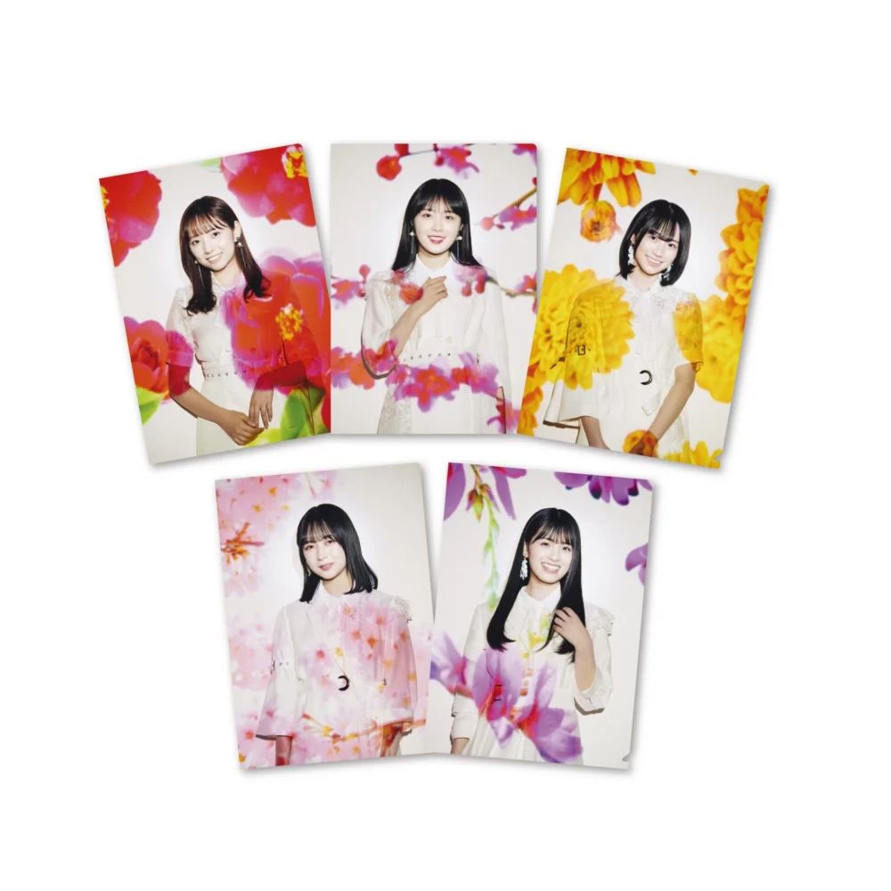 「春夏秋冬／フォーシーズンズ 乃木坂46」