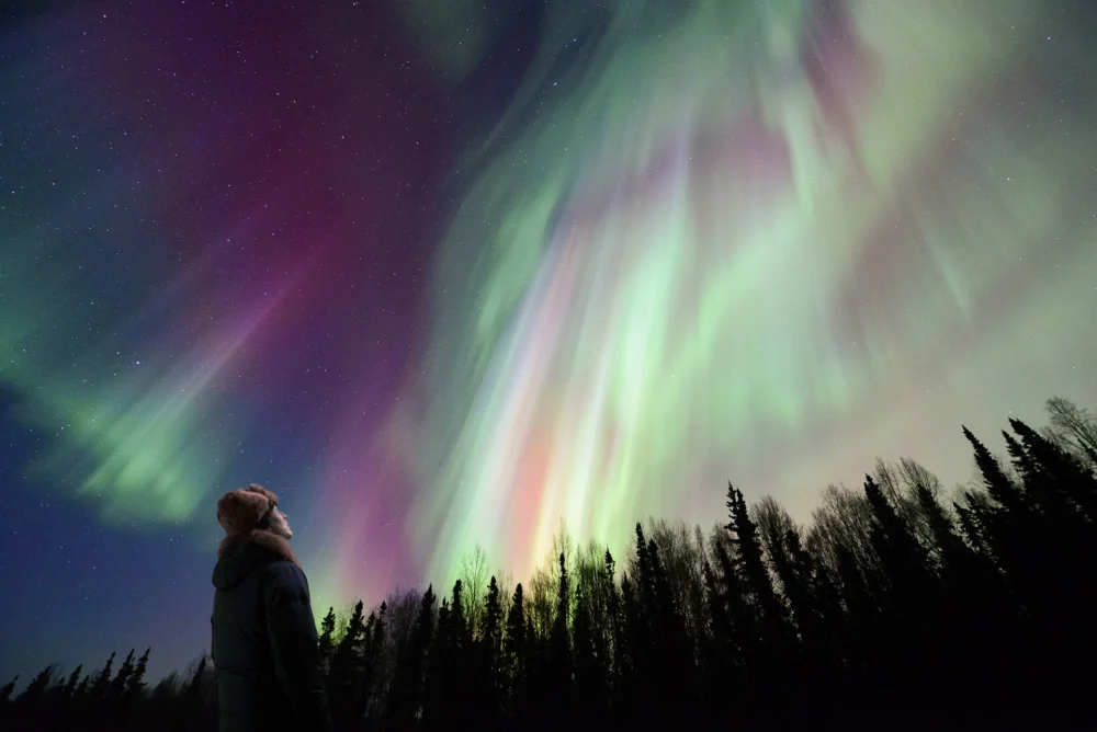 『流れ星を待つ夜に』場面写真