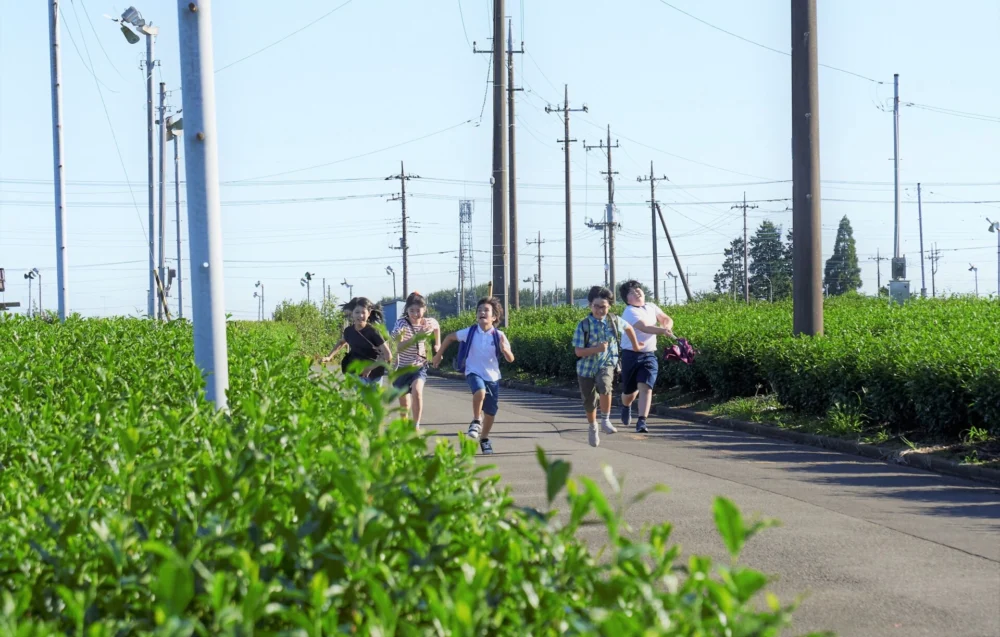 映画『ラストサマーウォーズ』