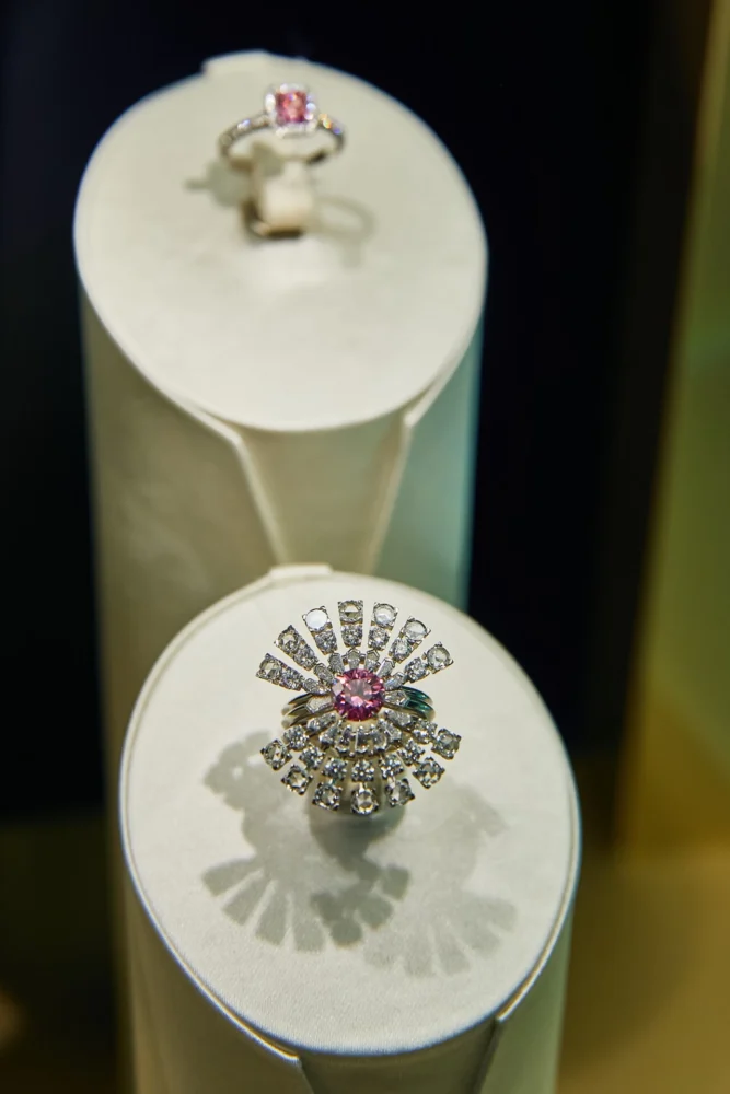 ブルー ブック 2022：ボタニカ