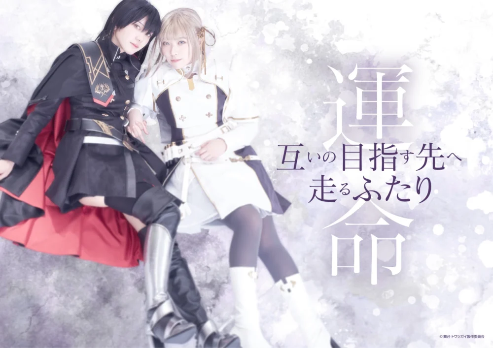 ツガイ（カラス＆ハクチョウ）