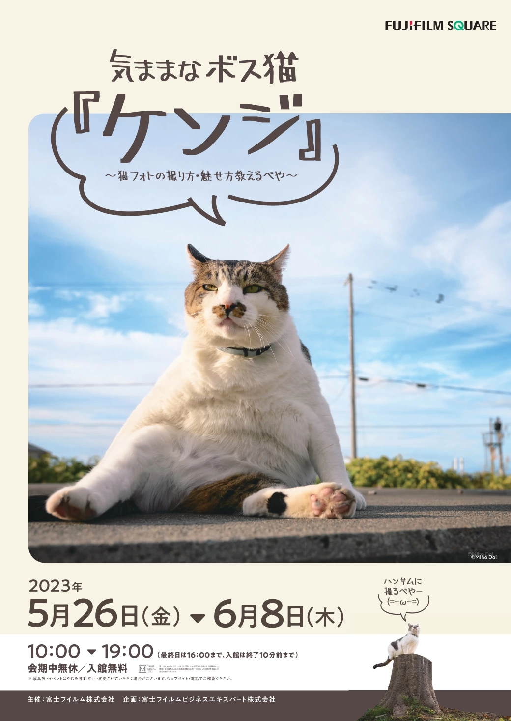 フジフイルム スクエア 企画写真展 気ままなボス猫『ケンジ』～ 猫フォトの撮り方・魅せ方教えるべや ～