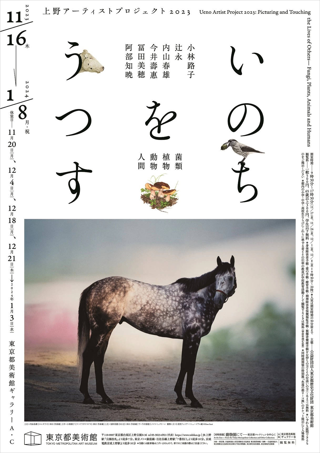 上野アーティストプロジェクト2023「いのちをうつす ―菌類、植物、動物、人間」