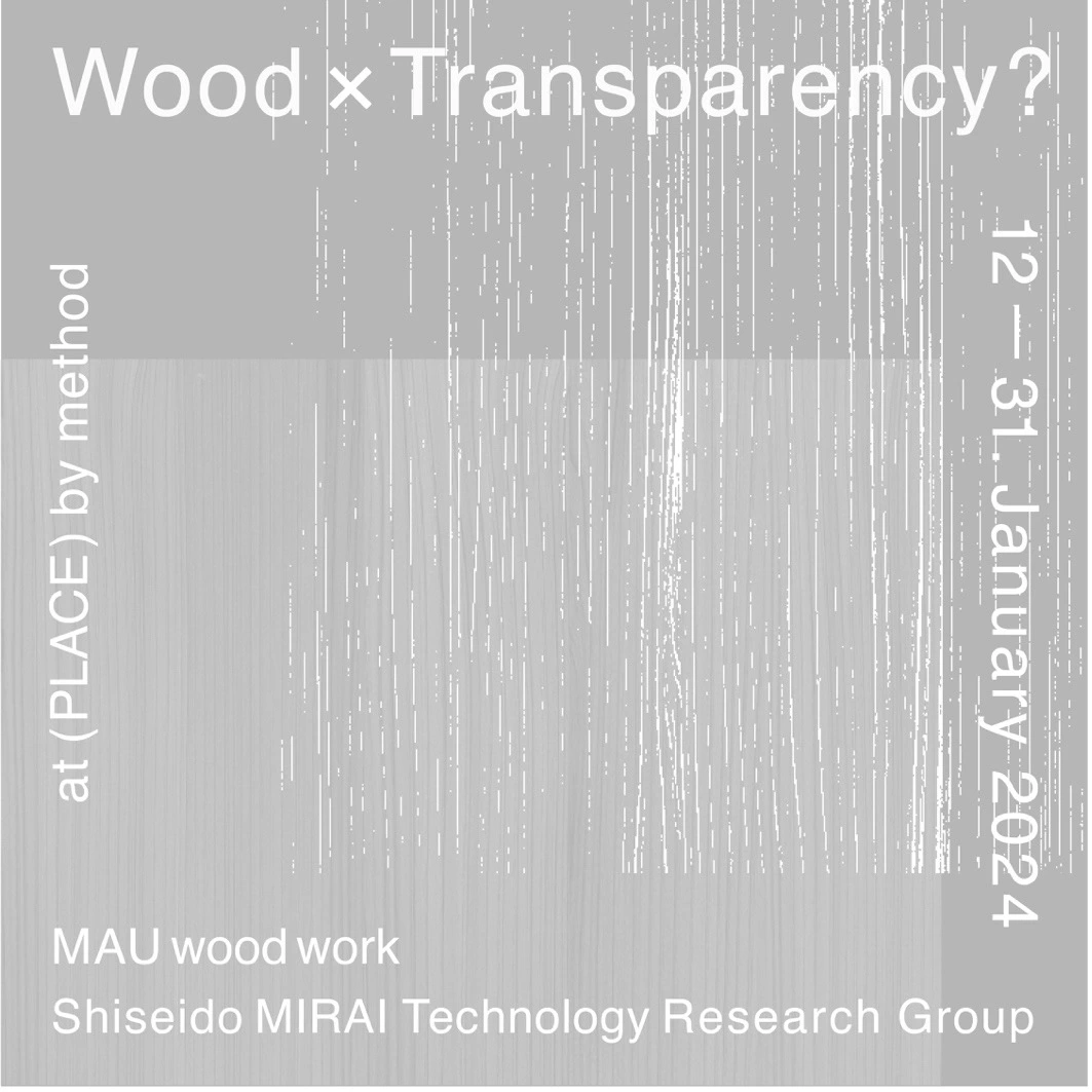 Wood x Transparency
