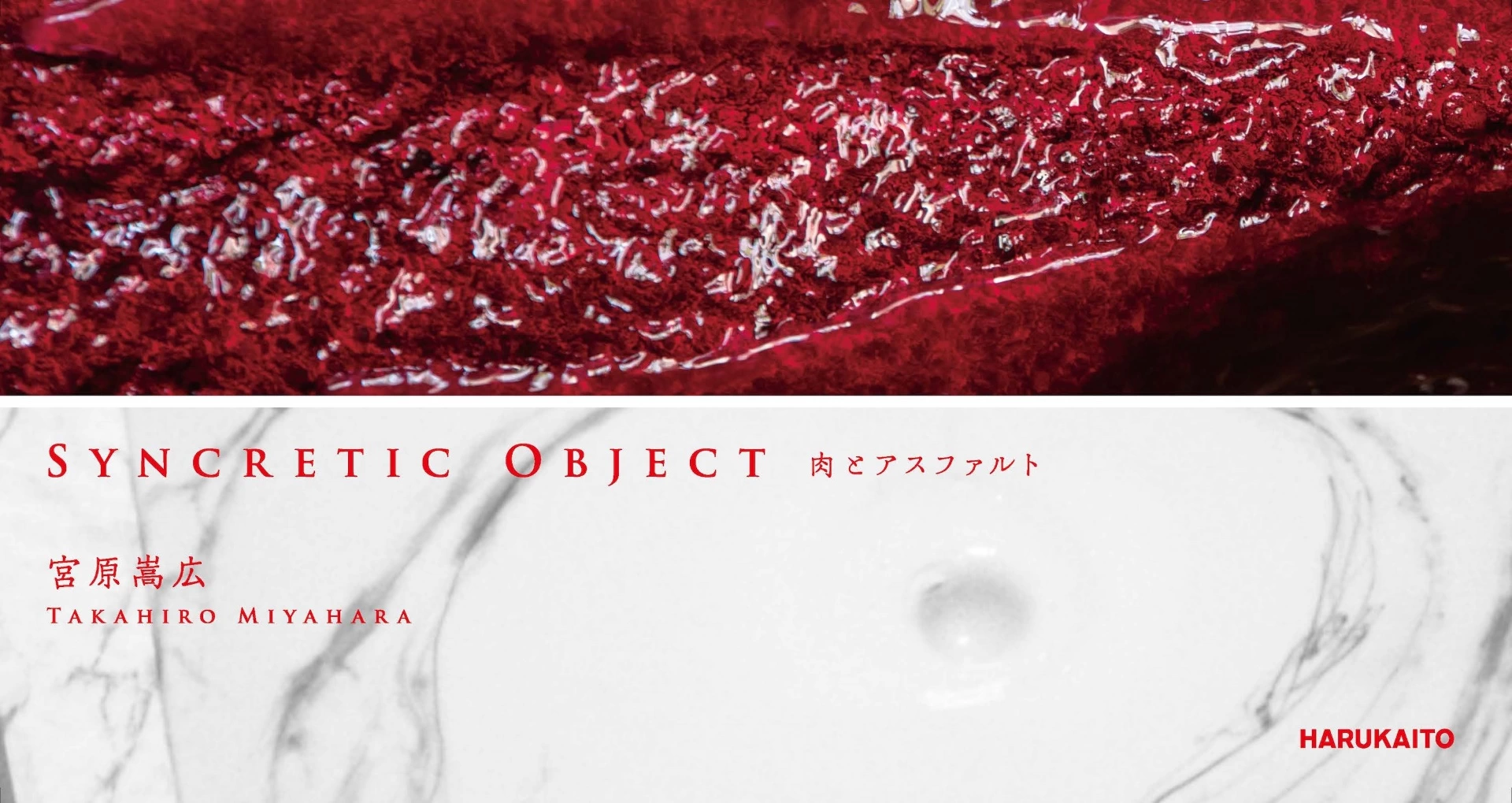 宮原嵩広 個展「Syncretic Object – 肉とアスファルト –」