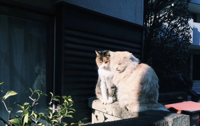 ひとりがたり Vol.1「ひとり歩き」