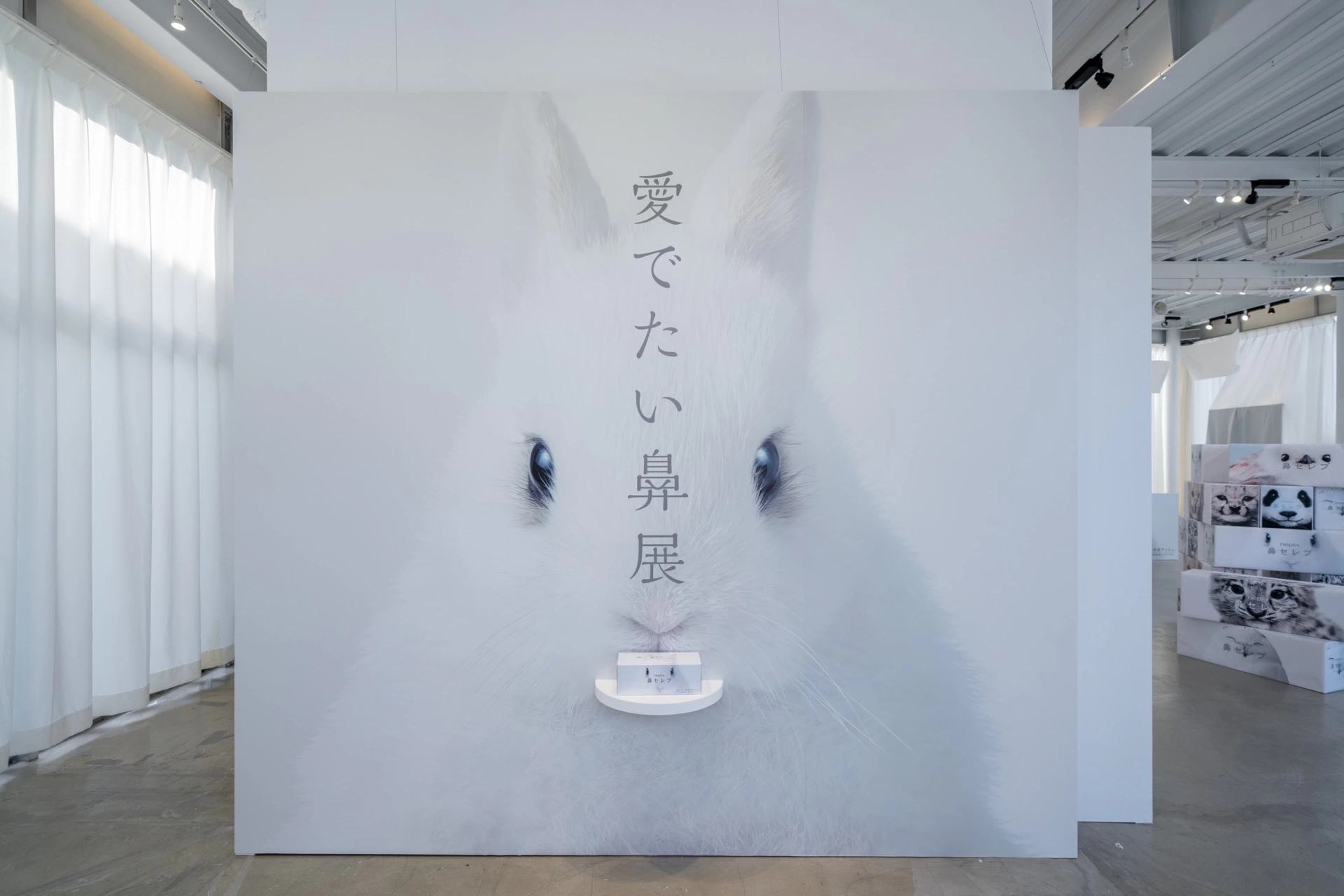 愛でたい鼻展