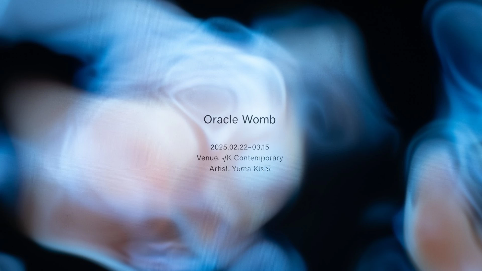 岸裕真『Oracle Womb』