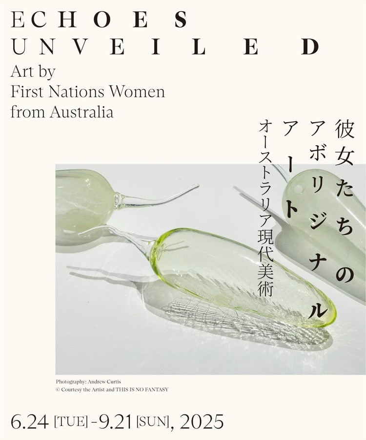 彼女たちのアボリジナル・アート オーストラリア現代美術