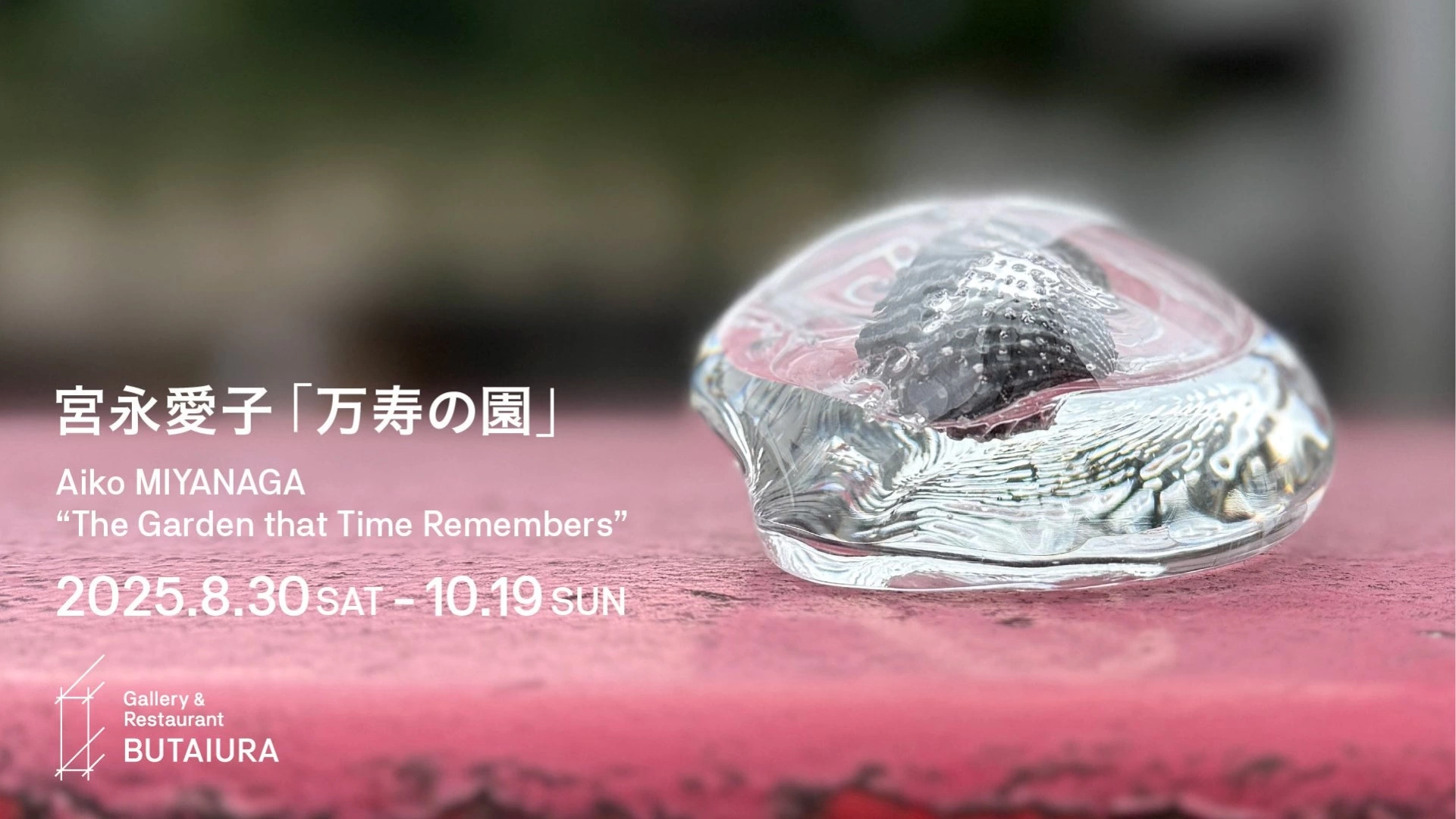 宮永愛子個展「万寿の園」