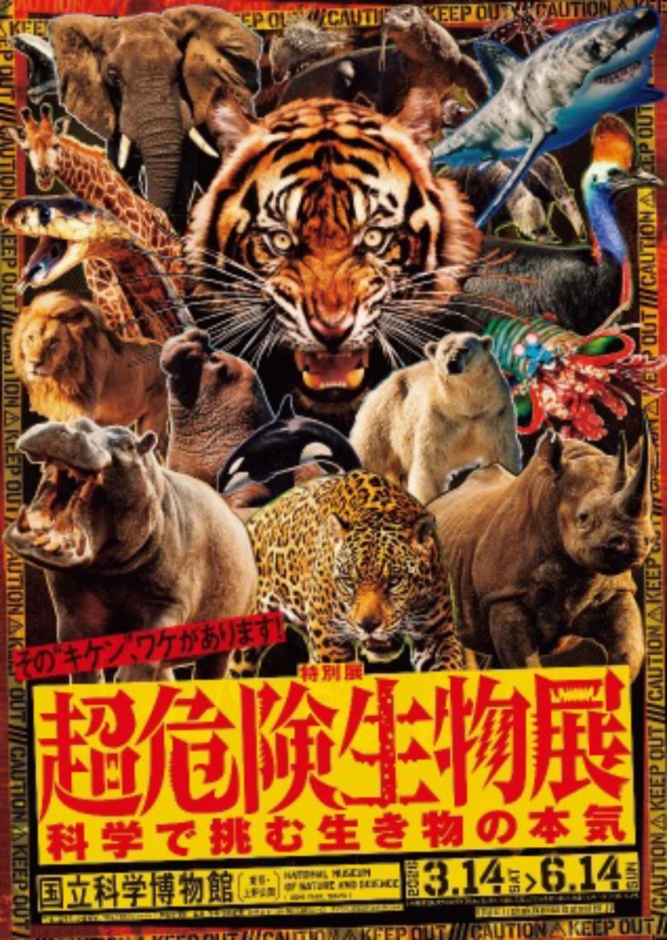 特別展「超危険生物展 科学で挑む生き物の本気」