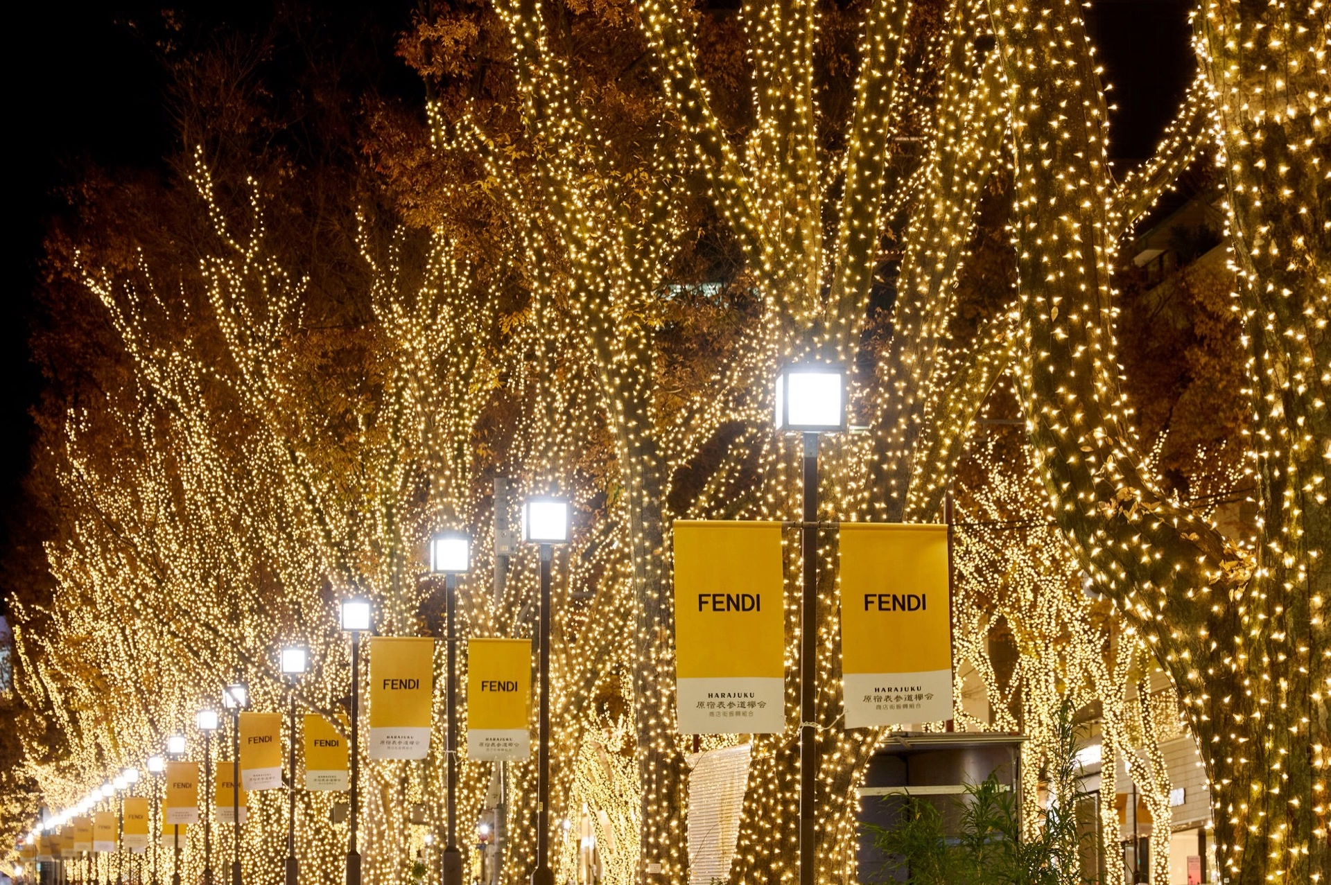 表参道 フェンディ イルミネーション 2025