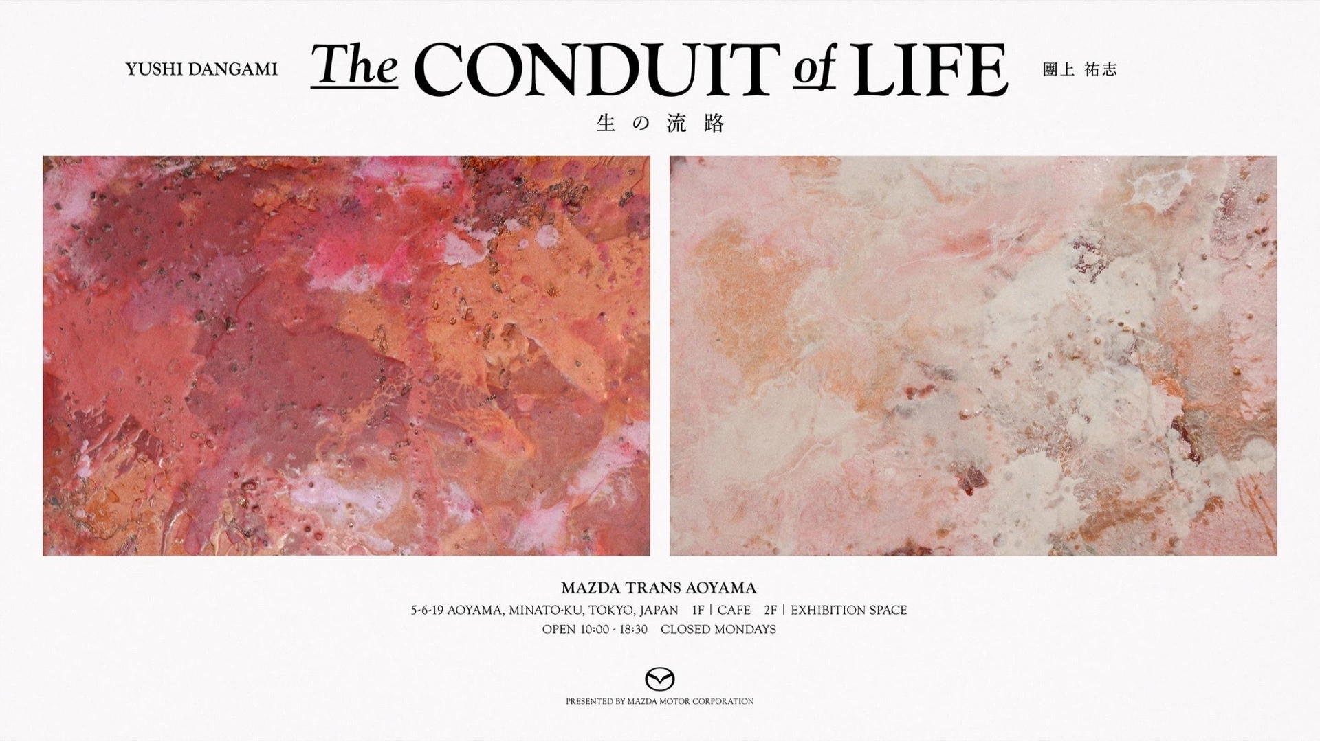 團上祐志 個展「The conduit of life 生の流路」