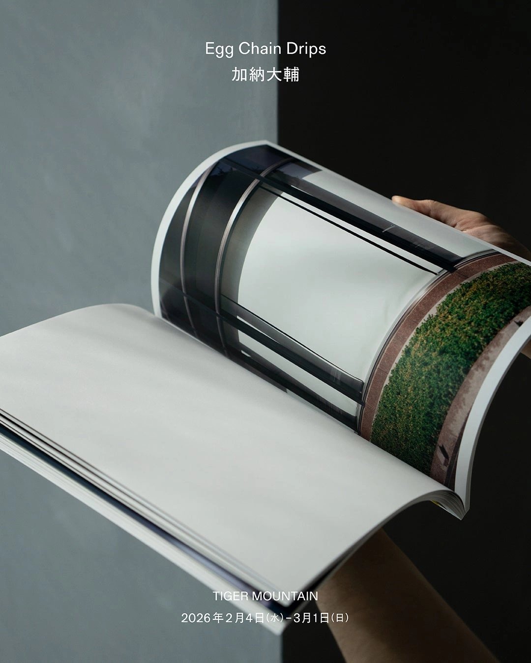 加納大輔 個展「Egg Chain Drips」