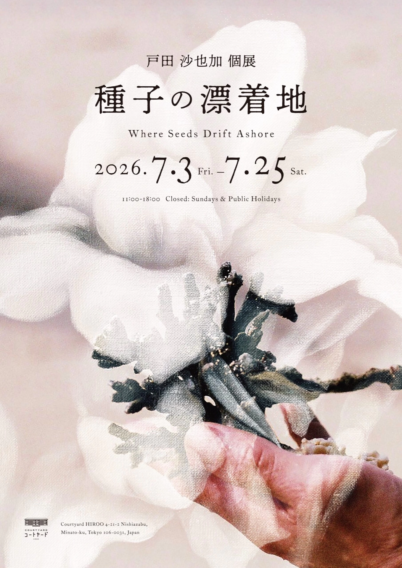 戸田 沙也加 個展「種子の漂着地 」-Where Seeds Drift Ashore-