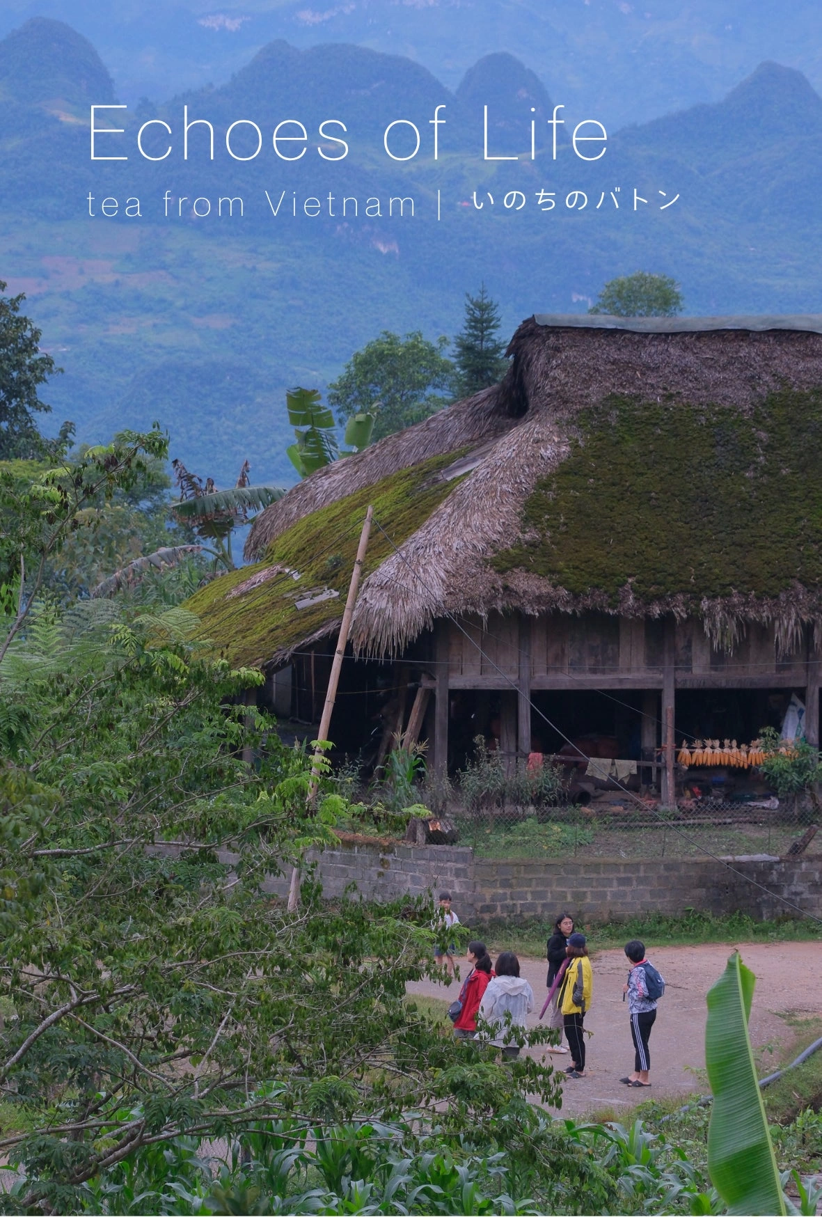 Echoes of Life | Tea from Vietnam いのちのバトン