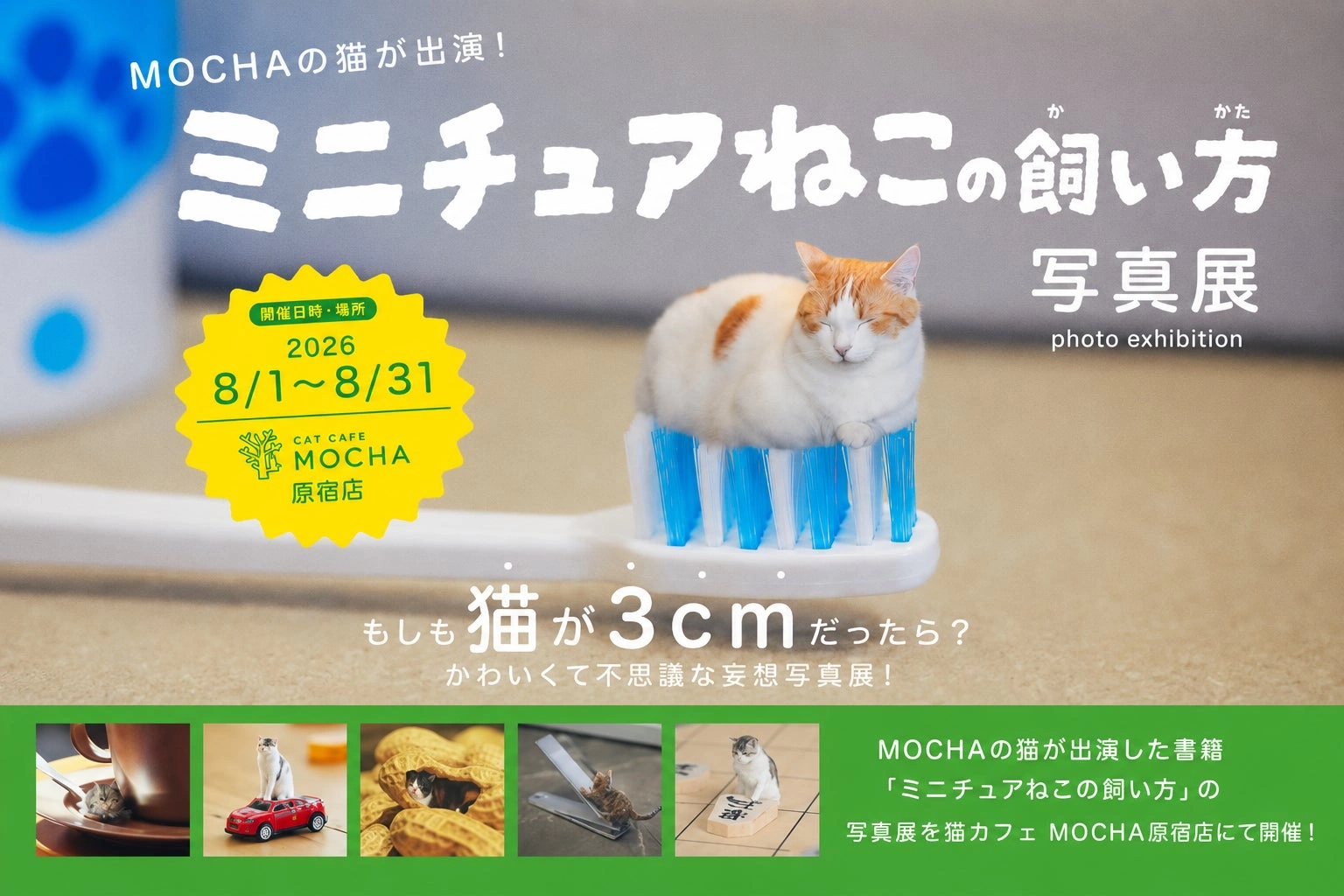 『ミニチュアねこの飼い方』写真展
