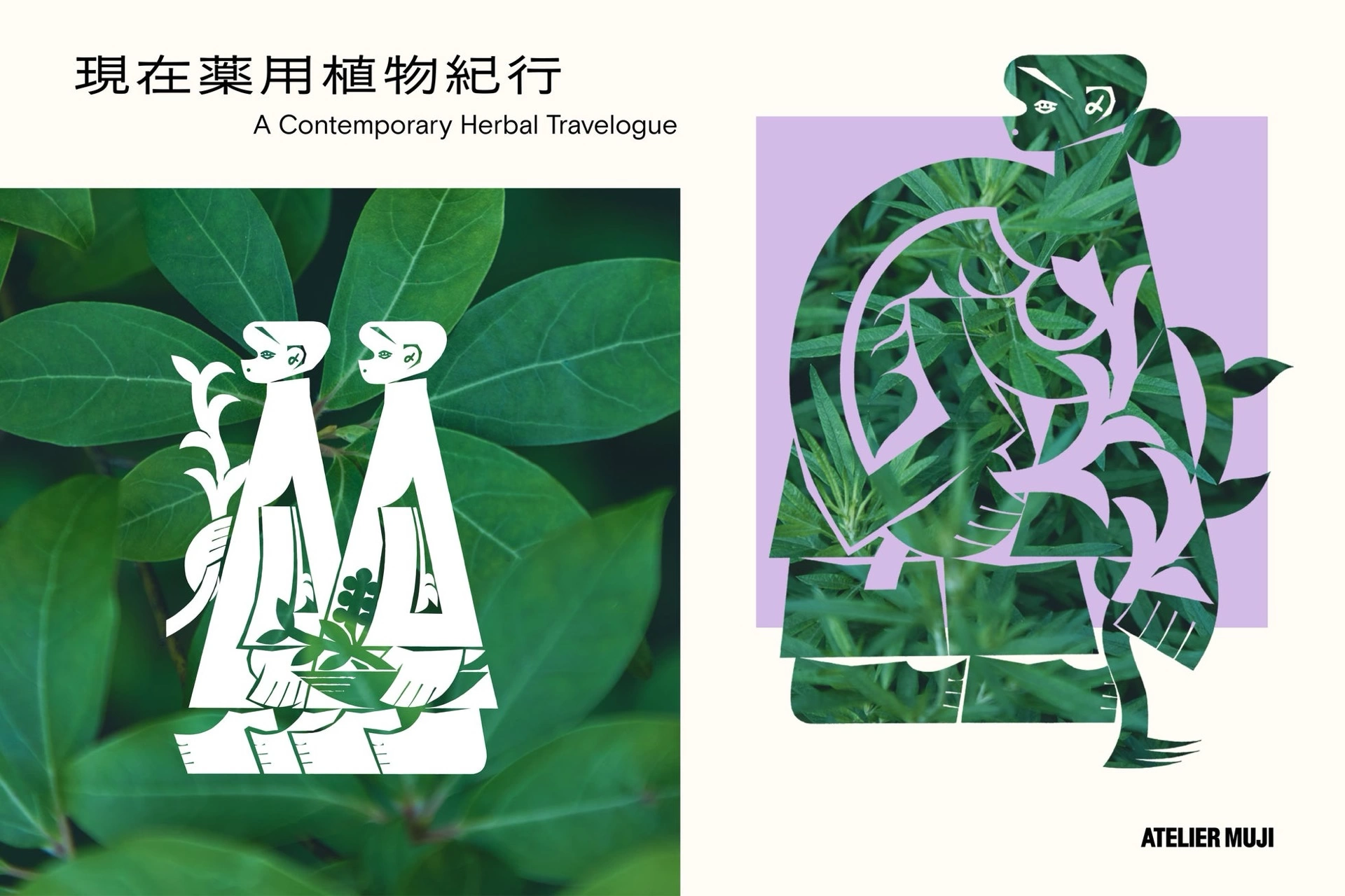ATELIER MUJI 企画展『現在薬用植物紀行』展