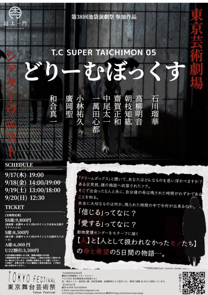 劇団 SUPER TAICHIMON ver.5「どりーむぼっくす」